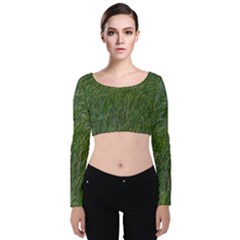 Green Carpet Velvet Long Sleeve Crop Top by DimitriosArt