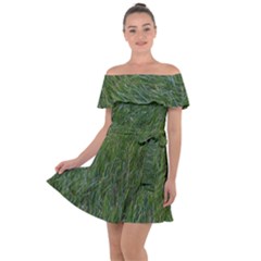 Green Carpet Off Shoulder Velour Dress by DimitriosArt