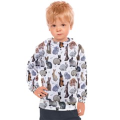 Funny Bunny Kids  Hooded Pullover by SychEva