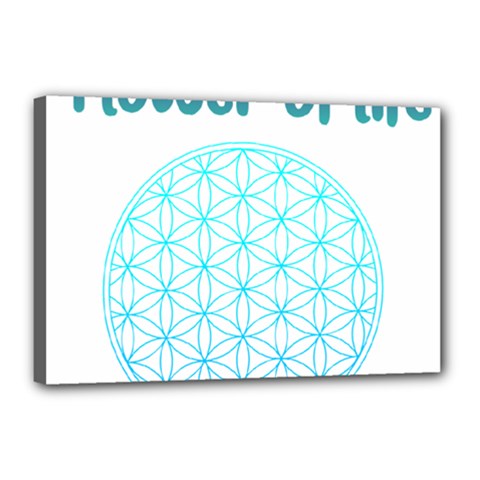 Flower Of Life  Canvas 18  X 12  (stretched) by tony4urban