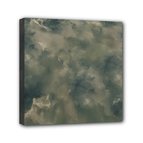 Algae Texture Patttern Mini Canvas 6  X 6  (stretched) by dflcprintsclothing