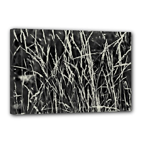 Abstract Light Games 9 Kiran Fa457 Canvas 18  X 12  (stretched)