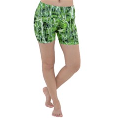 Green Desire Lightweight Velour Yoga Shorts by DimitriosArt