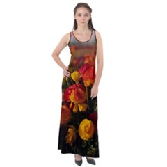 Vered-caspi-orlqbmy1om8-unsplash Sleeveless Velour Maxi Dress