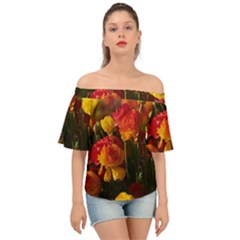 Vered-caspi-orlqbmy1om8-unsplash Off Shoulder Short Sleeve Top