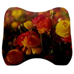 Vered-caspi-orlqbmy1om8-unsplash Velour Head Support Cushion by jellybeansanddinosaurs