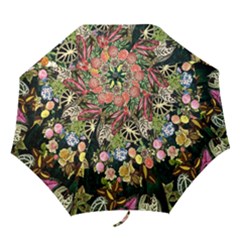 Tropical Pattern Folding Umbrellas by CoshaArt