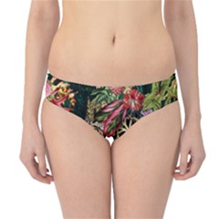 Tropical Pattern Hipster Bikini Bottoms