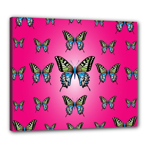 Butterfly Canvas 24  X 20  (stretched)