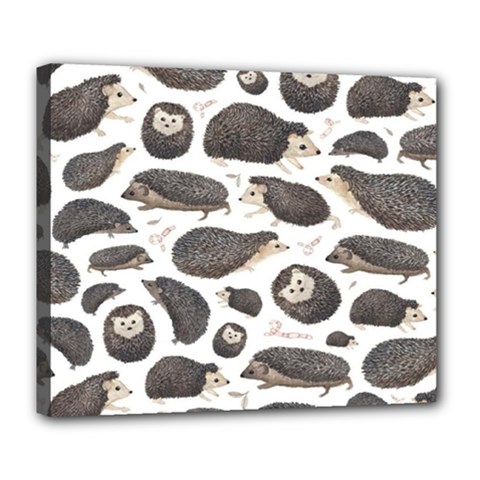 Hedgehog Deluxe Canvas 24  X 20  (stretched) by Sparkle