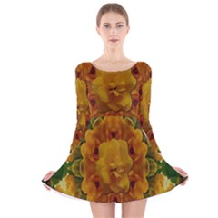 Tropical Spring Rose Flowers In A Good Mood Decorative Long Sleeve Velvet Skater Dress