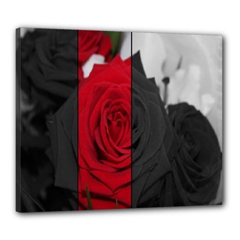 Roses Rouge Fleurs Canvas 24  X 20  (stretched)