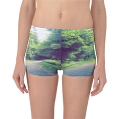 Photo Vue Sur Forêt  Reversible Boyleg Bikini Bottoms by kcreatif