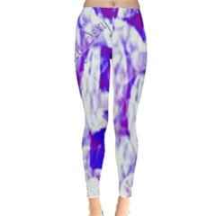 Officially Sexy Candy Collection Purple Leggings 