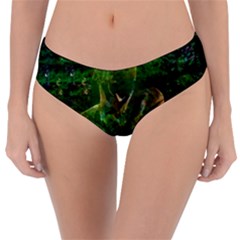 Stp 0111 Cross And Cross Reversible Classic Bikini Bottoms by WetdryvacsLair