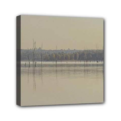 Grande Stream Landscape, Flores-soriano, Uruguay Mini Canvas 6  X 6  (stretched) by dflcprintsclothing