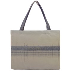 Grande Stream Landscape, Flores-soriano, Uruguay Mini Tote Bag by dflcprintsclothing