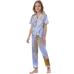 Triple Vision Kids  Satin Short Sleeve Pajamas Set by thedaffodilstore