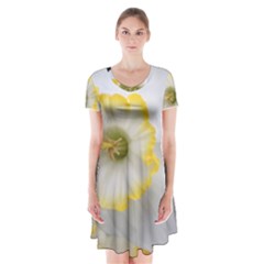 Lemon Sorbet Short Sleeve V-neck Flare Dress