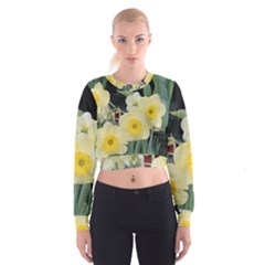 Daffodils In Bloom Cropped Sweatshirt by thedaffodilstore