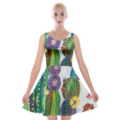 Rainbow Cactus Shirt Velvet Skater Dress by steampunkbabygirl
