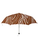 Wooden Texture Vector Background Folding Umbrellas View3