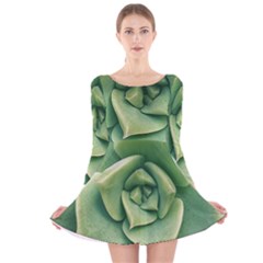 Echeveria Imbricata Closeup Photo Long Sleeve Velvet Skater Dress by dflcprintsclothing