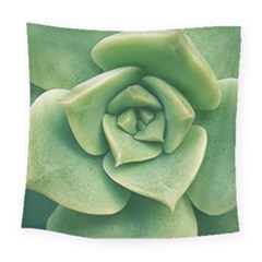 Echeveria Imbricata Closeup Photo Square Tapestry (large) by dflcprintsclothing