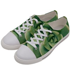 Echeveria Imbricata Closeup Photo Women s Low Top Canvas Sneakers by dflcprintsclothing