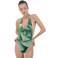 Echeveria Imbricata Closeup Photo Backless Halter One Piece Swimsuit by dflcprintsclothing