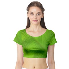 Banana Leaf Short Sleeve Crop Top by artworkshop