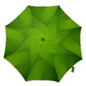 Banana Leaf Hook Handle Umbrellas (Large) View1