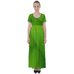 Banana Leaf High Waist Short Sleeve Maxi Dress by artworkshop