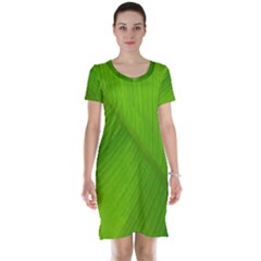 Banana Leaf Short Sleeve Nightdress