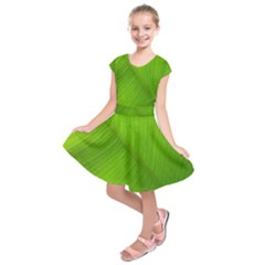 Banana Leaf Kids  Short Sleeve Dress by artworkshop