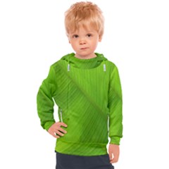 Banana Leaf Kids  Hooded Pullover by artworkshop