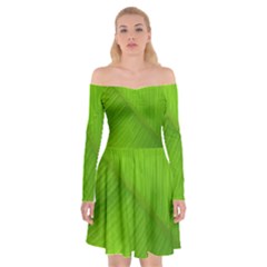 Banana Leaf Off Shoulder Skater Dress by artworkshop