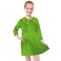 Banana Leaf Kids  Quarter Sleeve Shirt Dress by artworkshop
