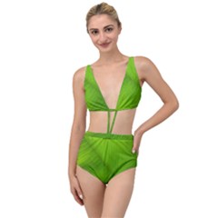 Banana Leaf Tied Up Two Piece Swimsuit by artworkshop