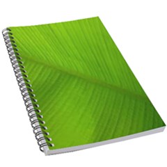 Banana Leaf 5 5  X 8 5  Notebook by artworkshop