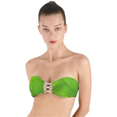 Banana Leaf Twist Bandeau Bikini Top by artworkshop