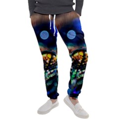 Peacock Feather Drop Men s Jogger Sweatpants by artworkshop