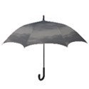 Storm Clouds Collection Hook Handle Umbrellas (Small) View3