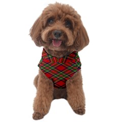 Royal Stewart Tartan Dog Sweater by sifis