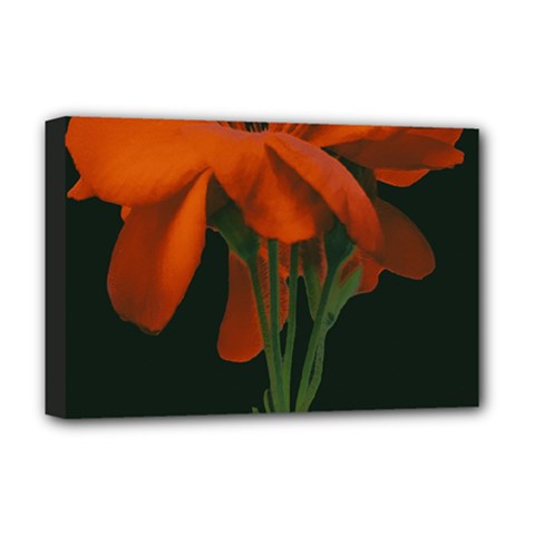 Red Geranium Over Black Background Deluxe Canvas 18  X 12  (stretched) by dflcprintsclothing