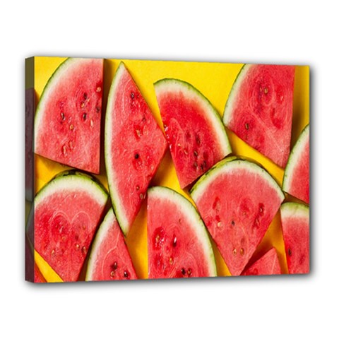 Watermelon Canvas 16  X 12  (stretched) by artworkshop