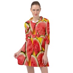 Watermelon Mini Skater Shirt Dress by artworkshop
