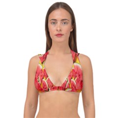 Watermelon Double Strap Halter Bikini Top by artworkshop