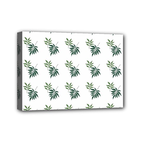 Tropical Mini Canvas 7  X 5  (stretched) by Sparkle