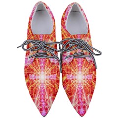 Bursting Energy Pointed Oxford Shoes by Thespacecampers